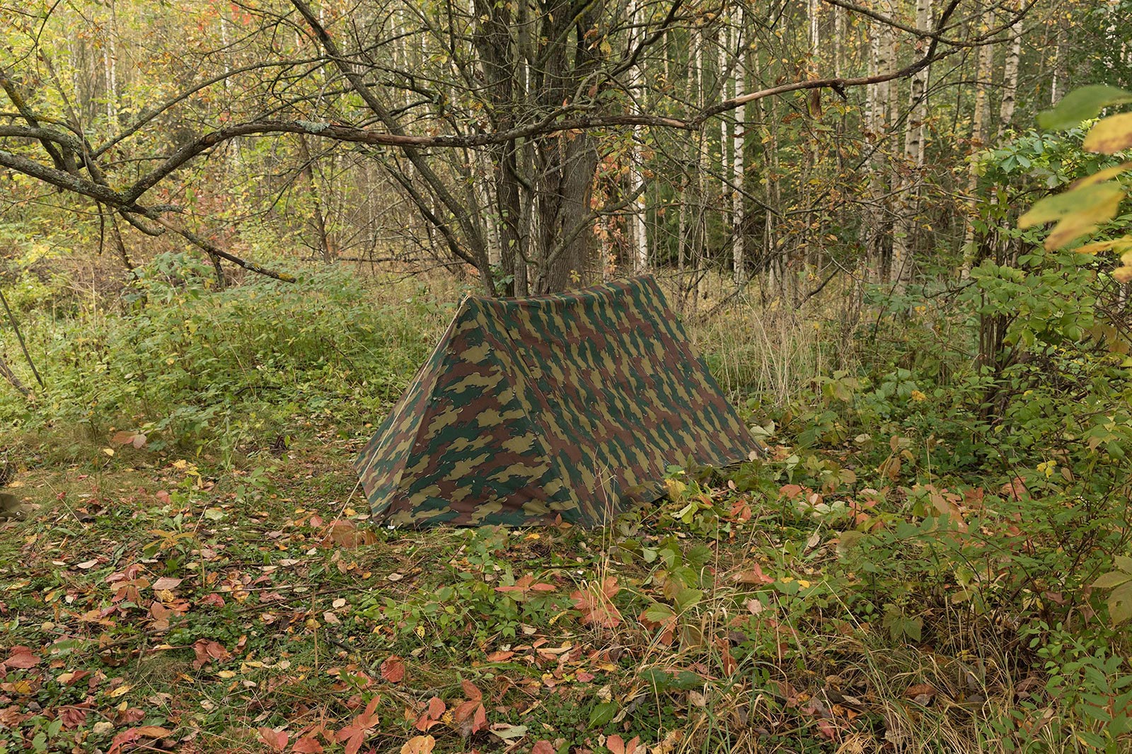 Belgian A-frame tent in the jigsaw camo set up in a forest