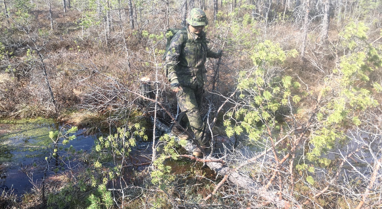 Maastopukuinen henkilö ylittää puroa metsässä kaatunutta mäntyä pitkin.