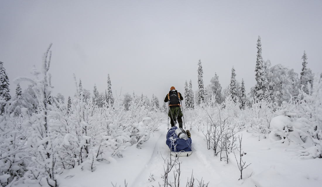 Metsästäjä hiihtää lumisessa maisemassa vetäen ahkiota perässään.