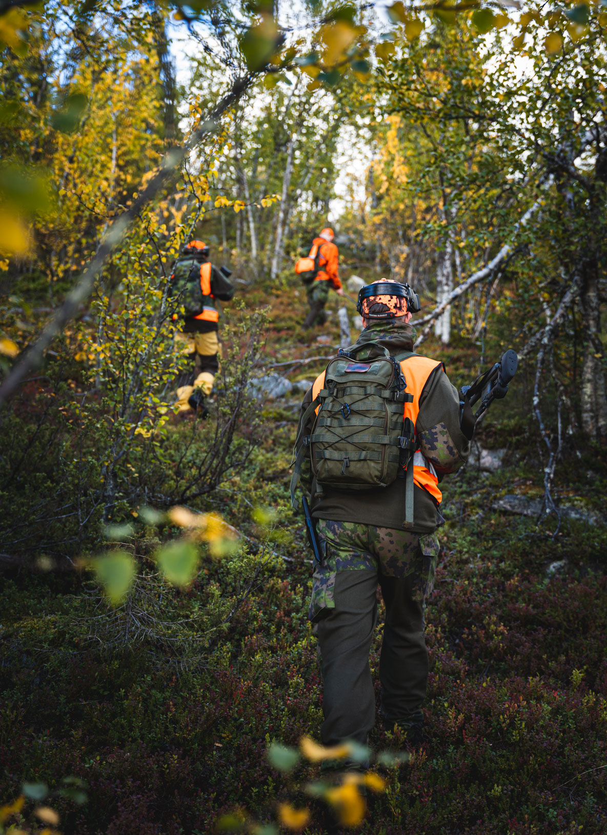 Three moose hunters advancing in the shrubbery in Lapland