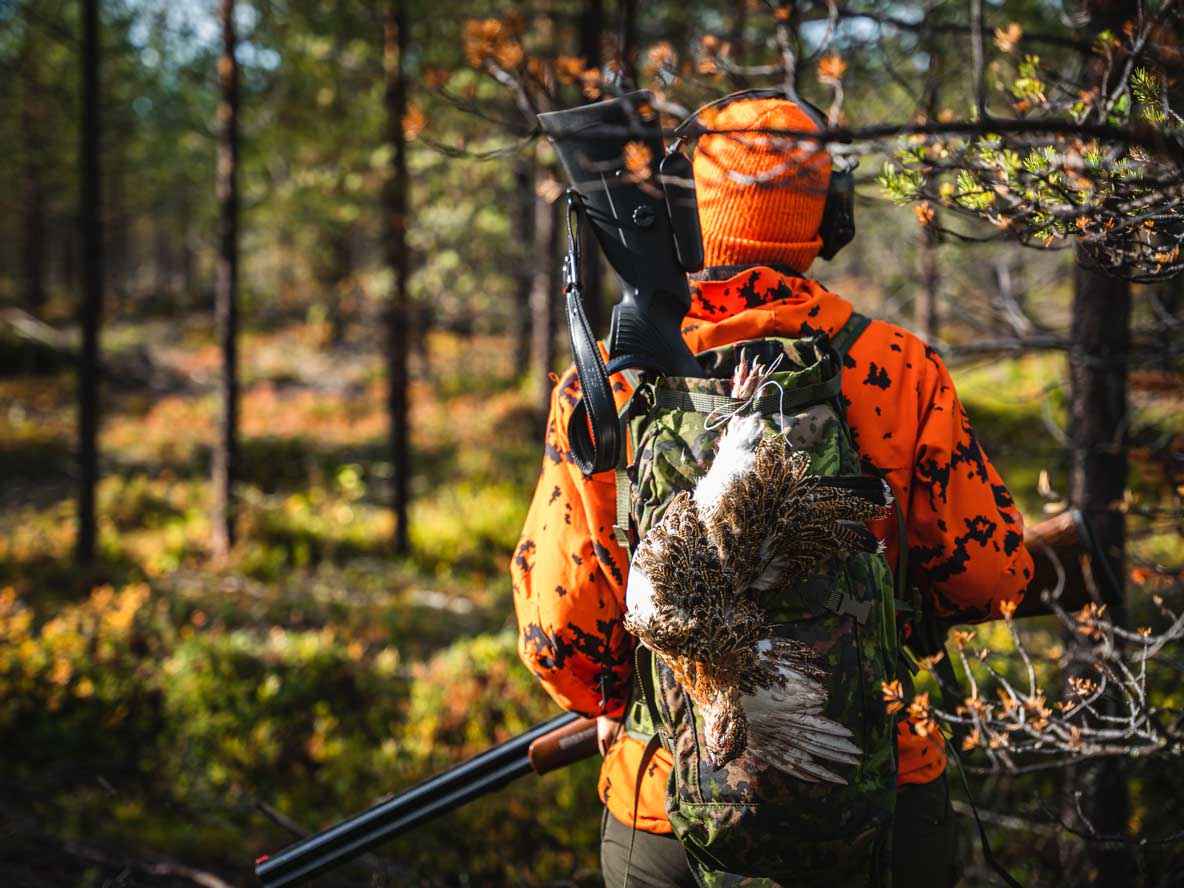 Hunting forest birds in Lapland