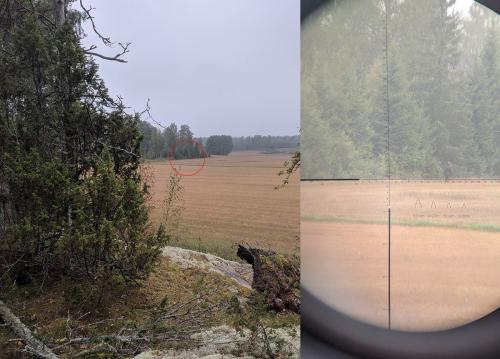 Särmä TST L7 Naamioviitta. Vasemmalla naamioviitta, oikealla vihreä metsästyspuku. Etäisyys noin 250 m. Kuvattu käsivaralla kännykällä katselukiikarin läpi.